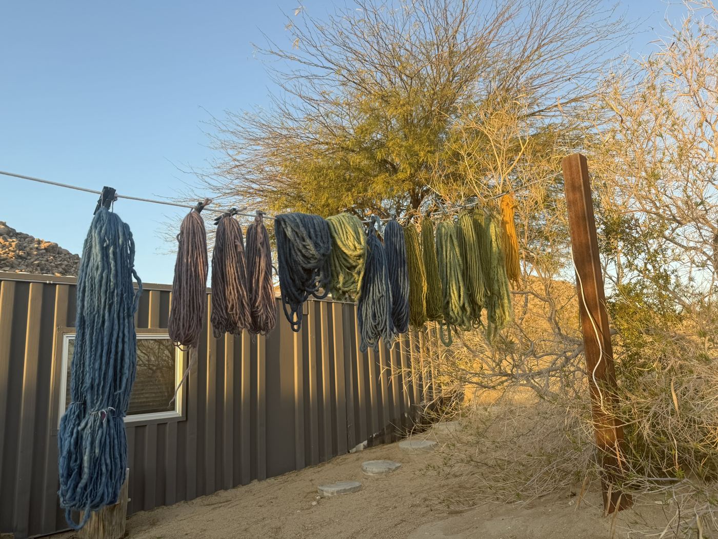 Plant-dyed yarn skeins drying on a line beside a desert cabin