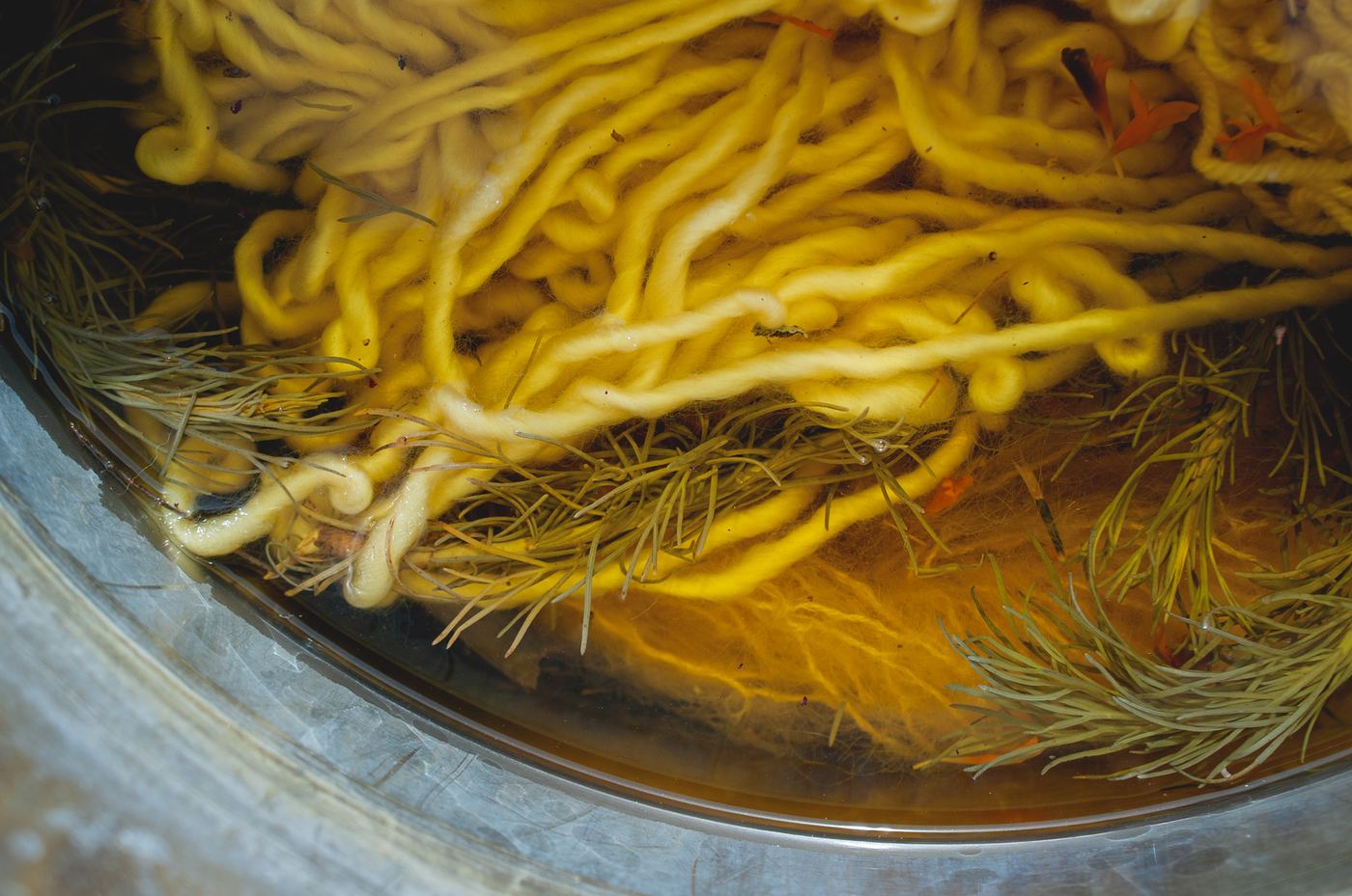 Yellow yarn soaking with plant matter in a dye pot