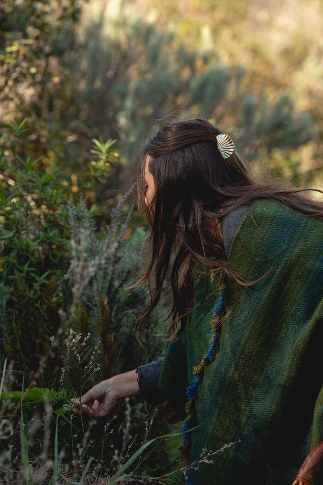 Felise foraging among coastal plants, wrapped in a green wool blanket