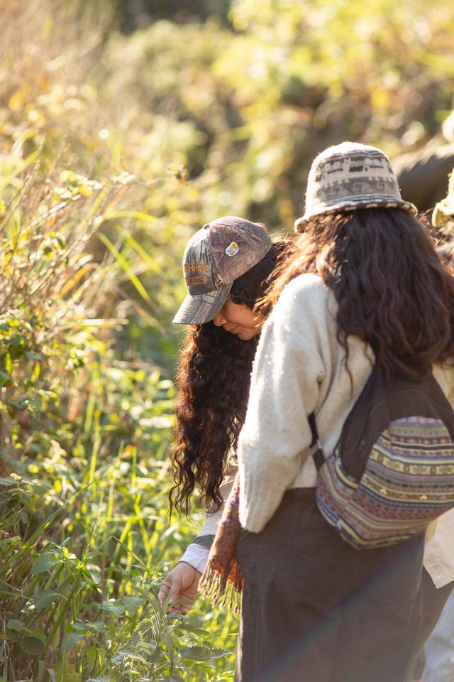 Two workshop participants foraging among coastal plants