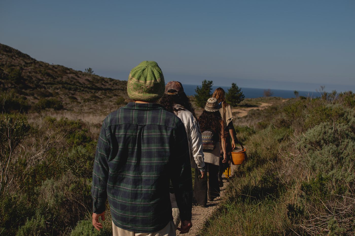 Wild plant dye workshop