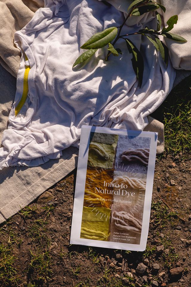 Wild plant dye workshop