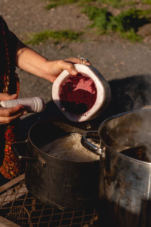 Wild plant dye workshop