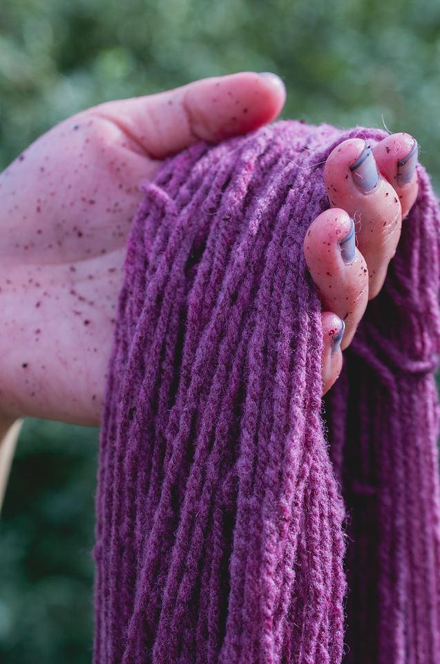 Wild plant dye workshop